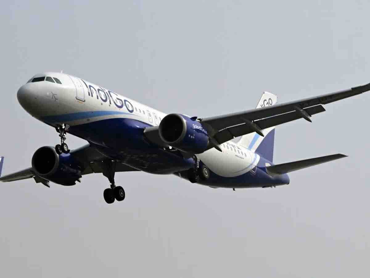 Indigo