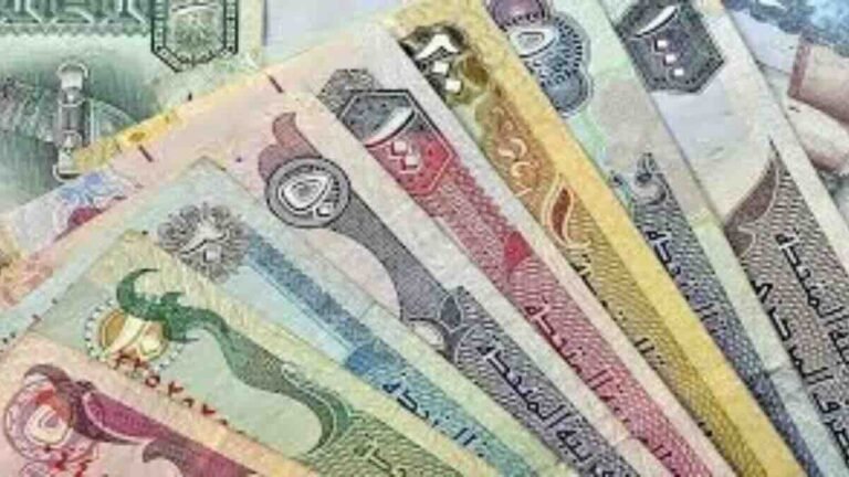 UAE Fine